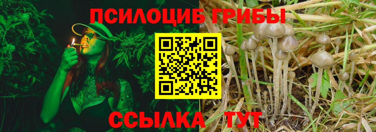 Псилоцибиновые грибы мицелий  Вход с VPN  Ивантеевка 